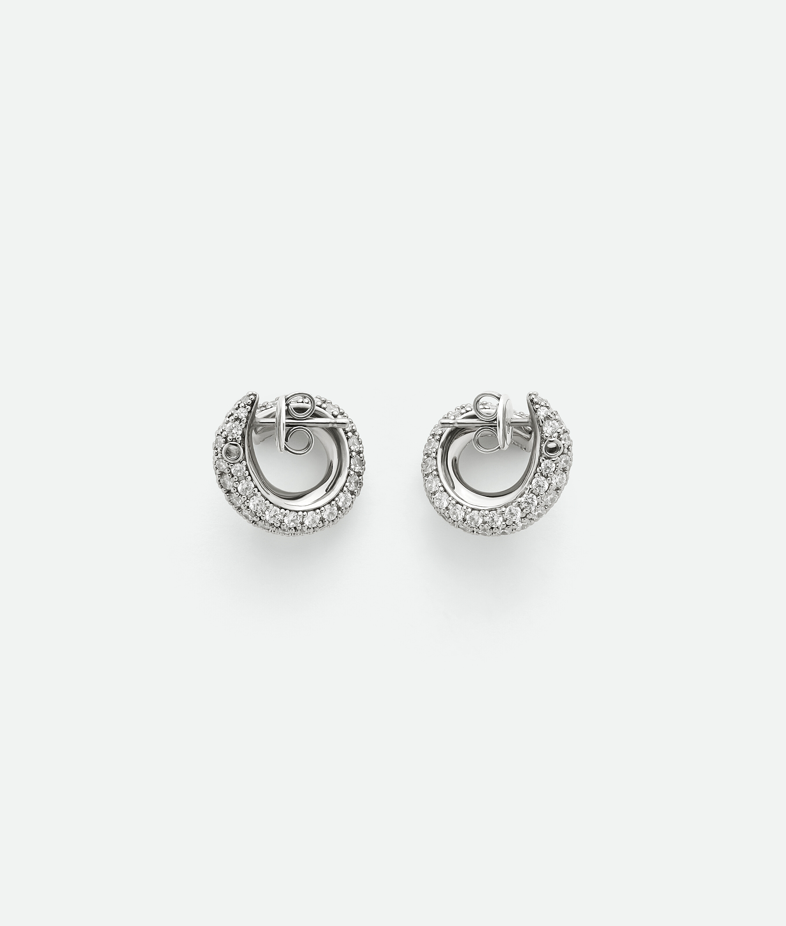 Small Sardine Earrings
