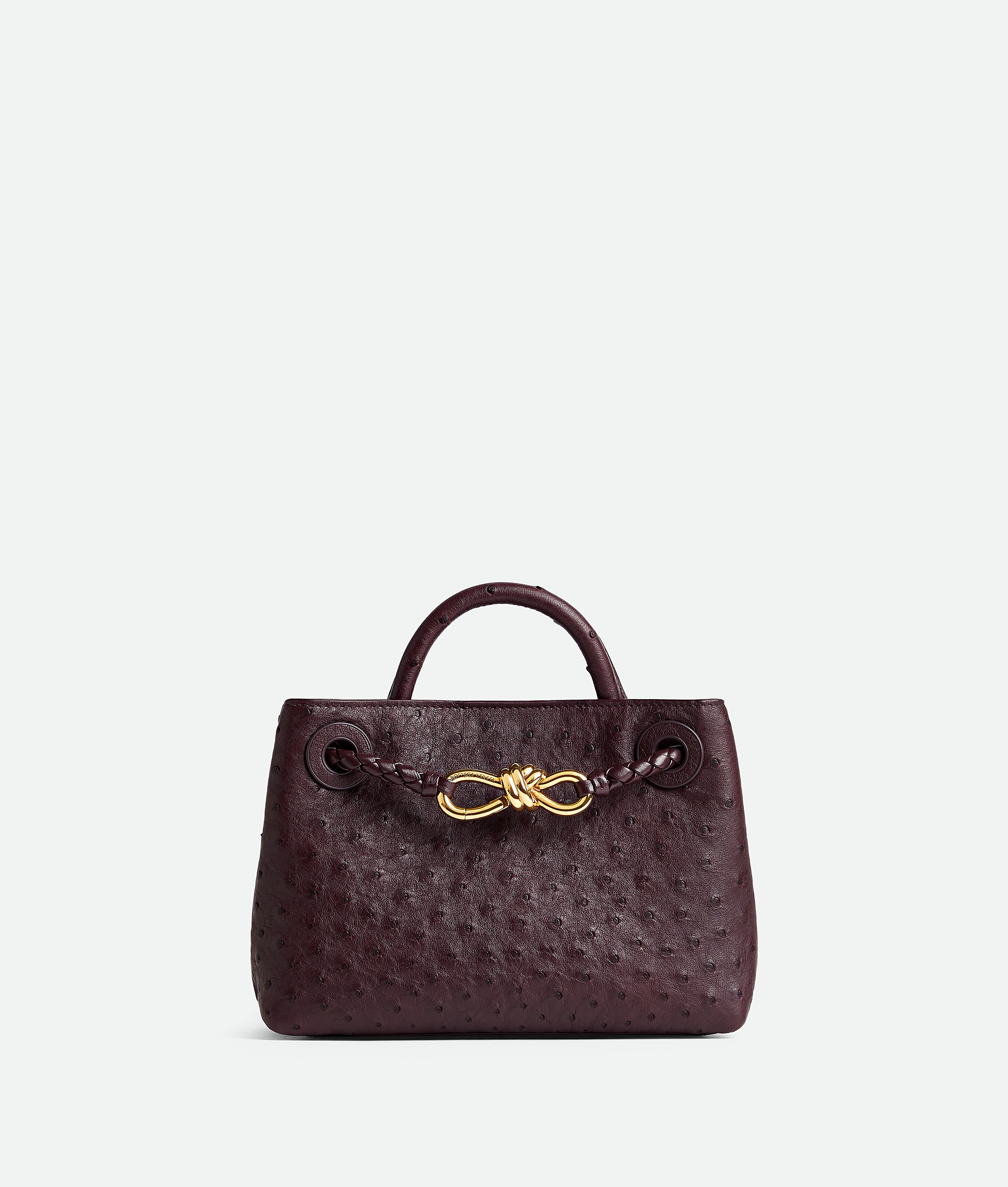Bottega Veneta Andiamo Mini In Brown