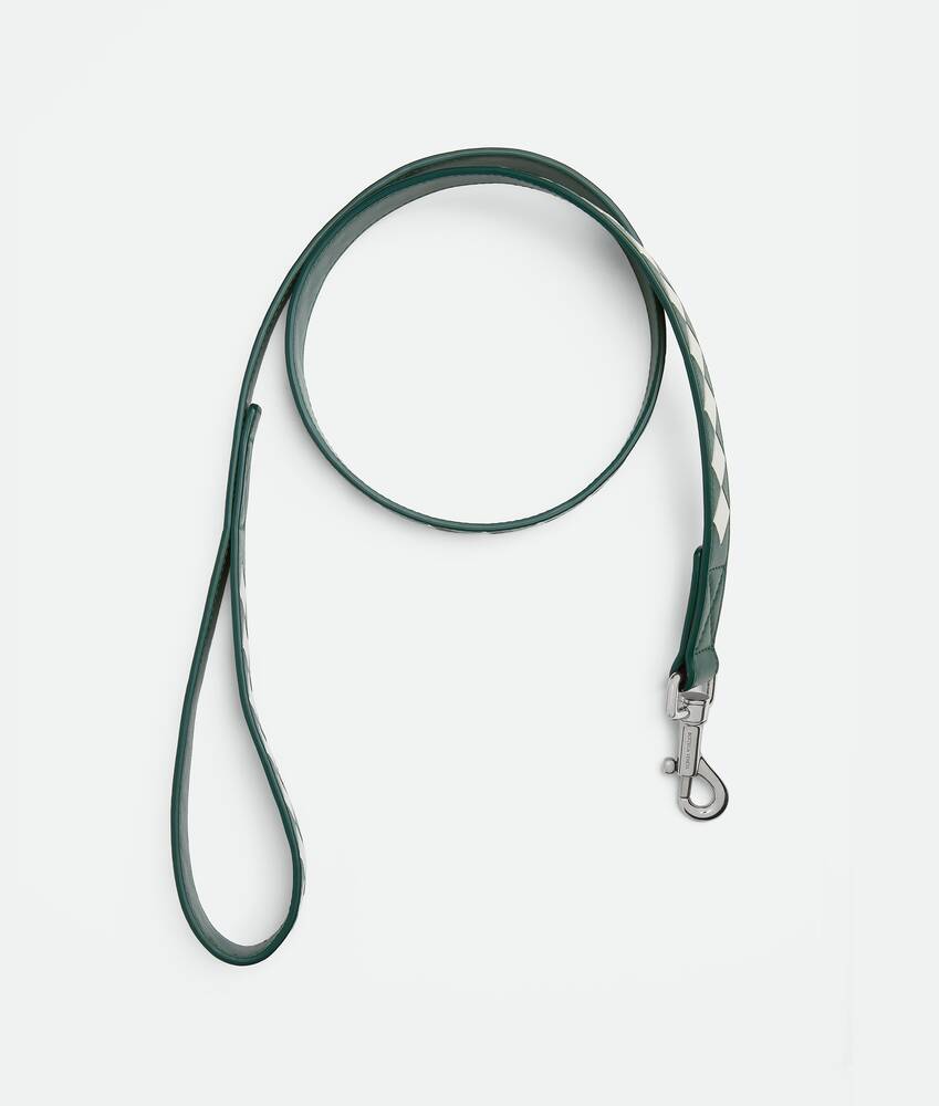 Display a large version of the product image 2 - Medium Intrecciato Dog Leash