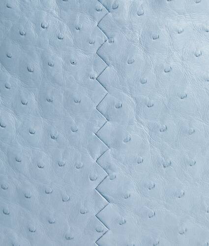 Women's Dustbag in Ice Bottega Veneta Zimbabwe EN - Image 7