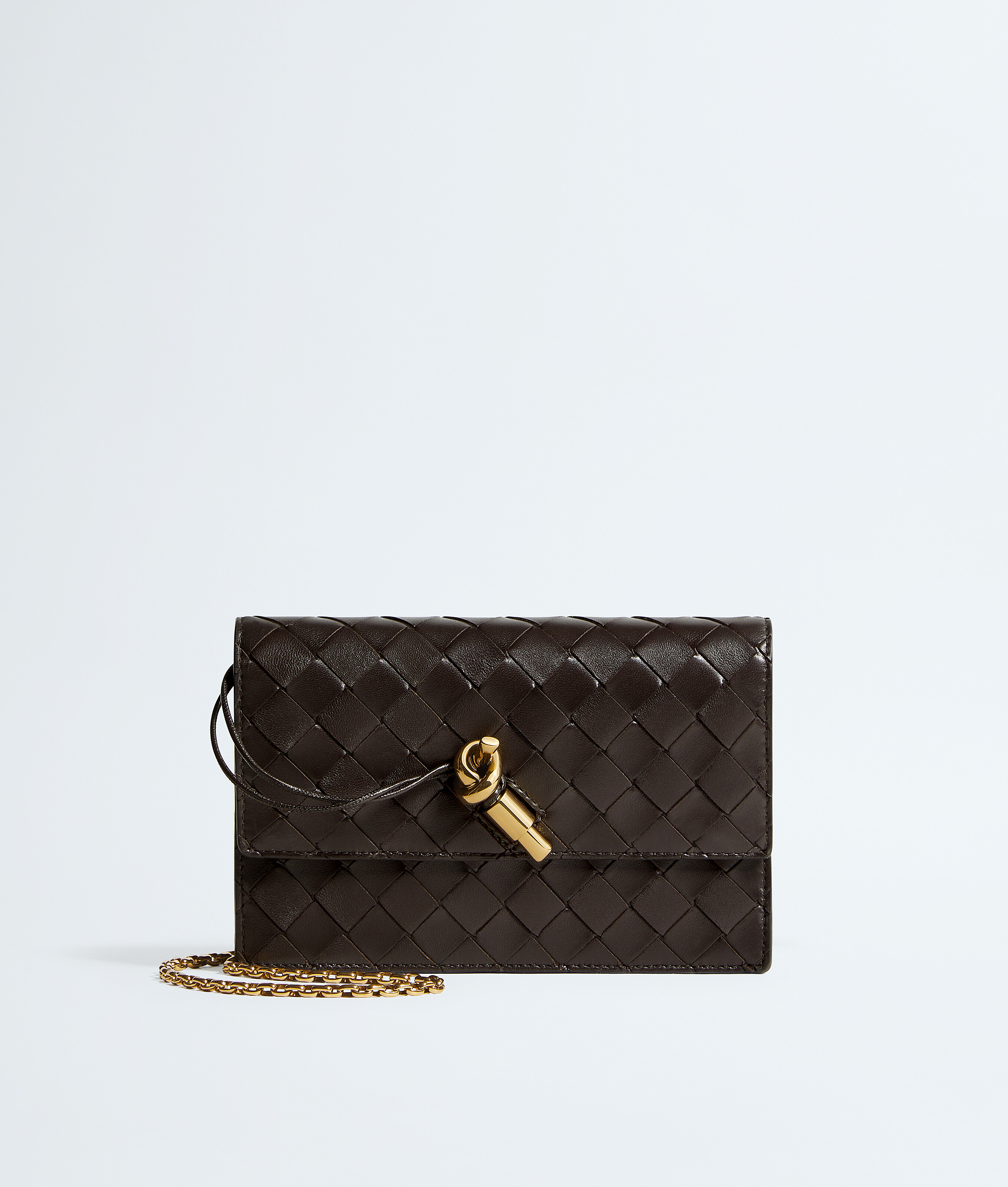 Bottega Veneta Brown Andiamo Pouch On Chain - Woman - U