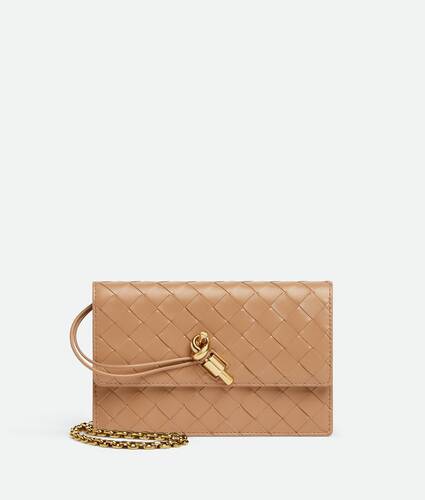 Andiamo Wallet on Chain