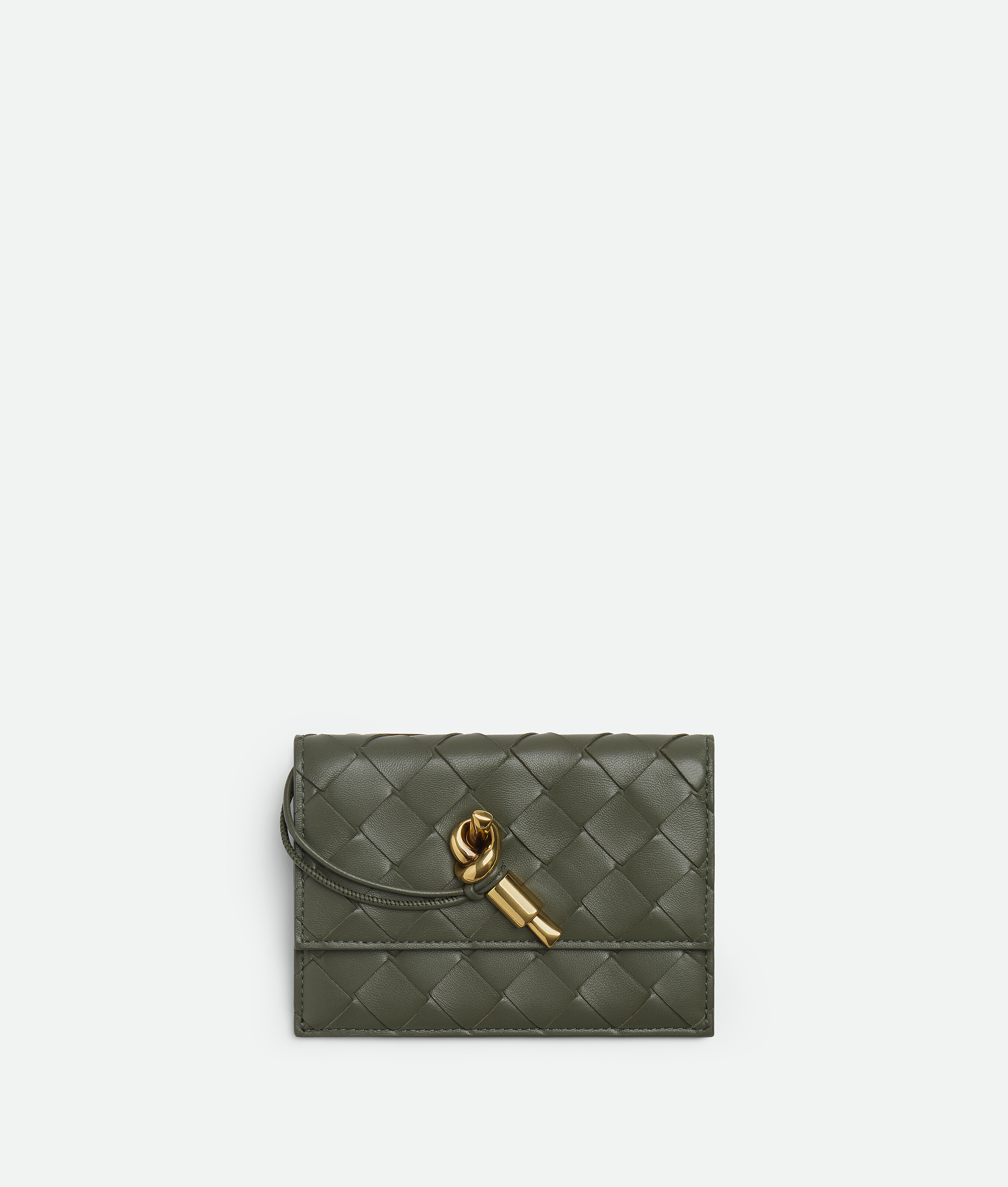Bottega Veneta Andiamo Zipped Card Case In Green