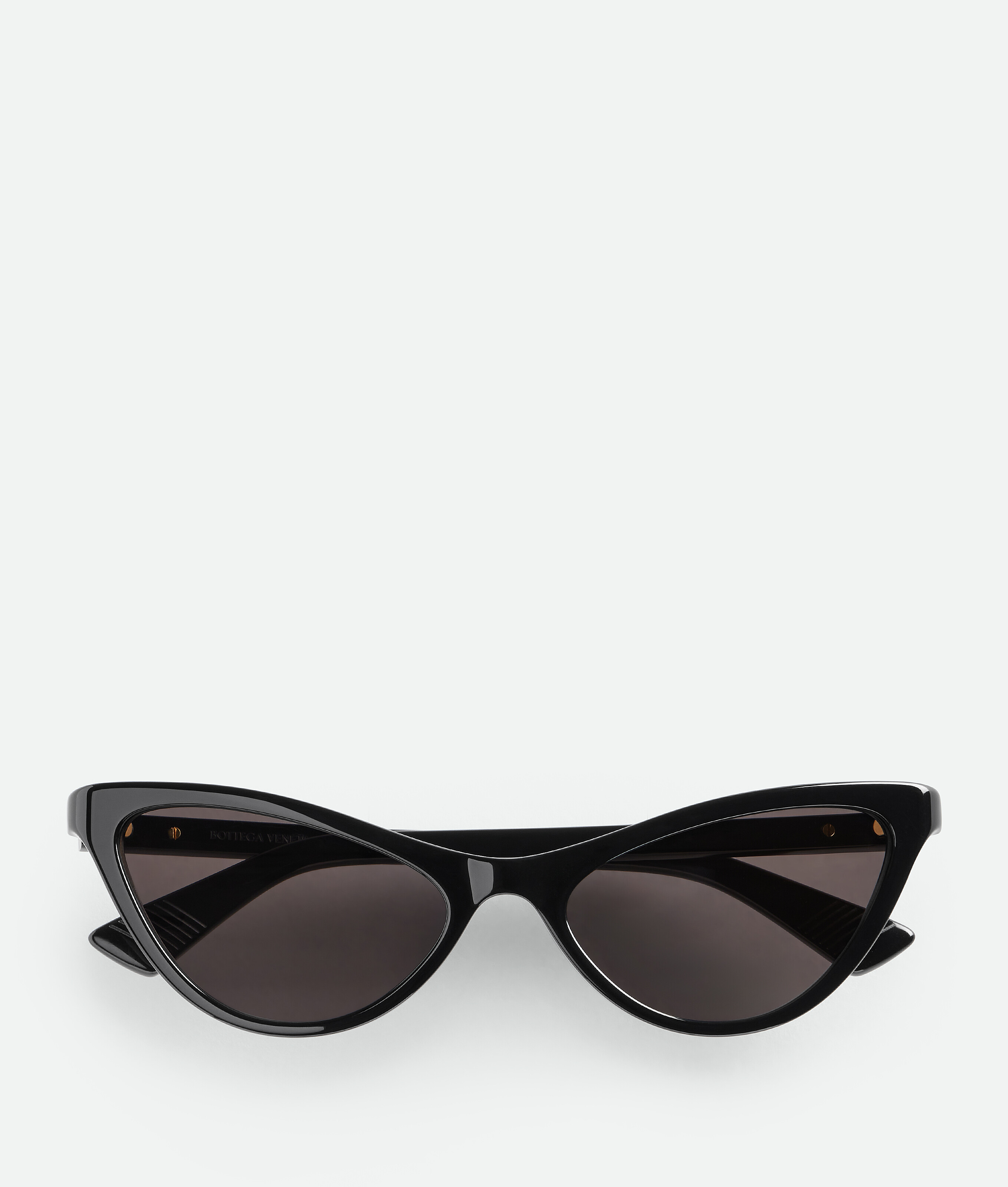 Bottega Veneta Classic Cat Eye Sunglasses In Black
