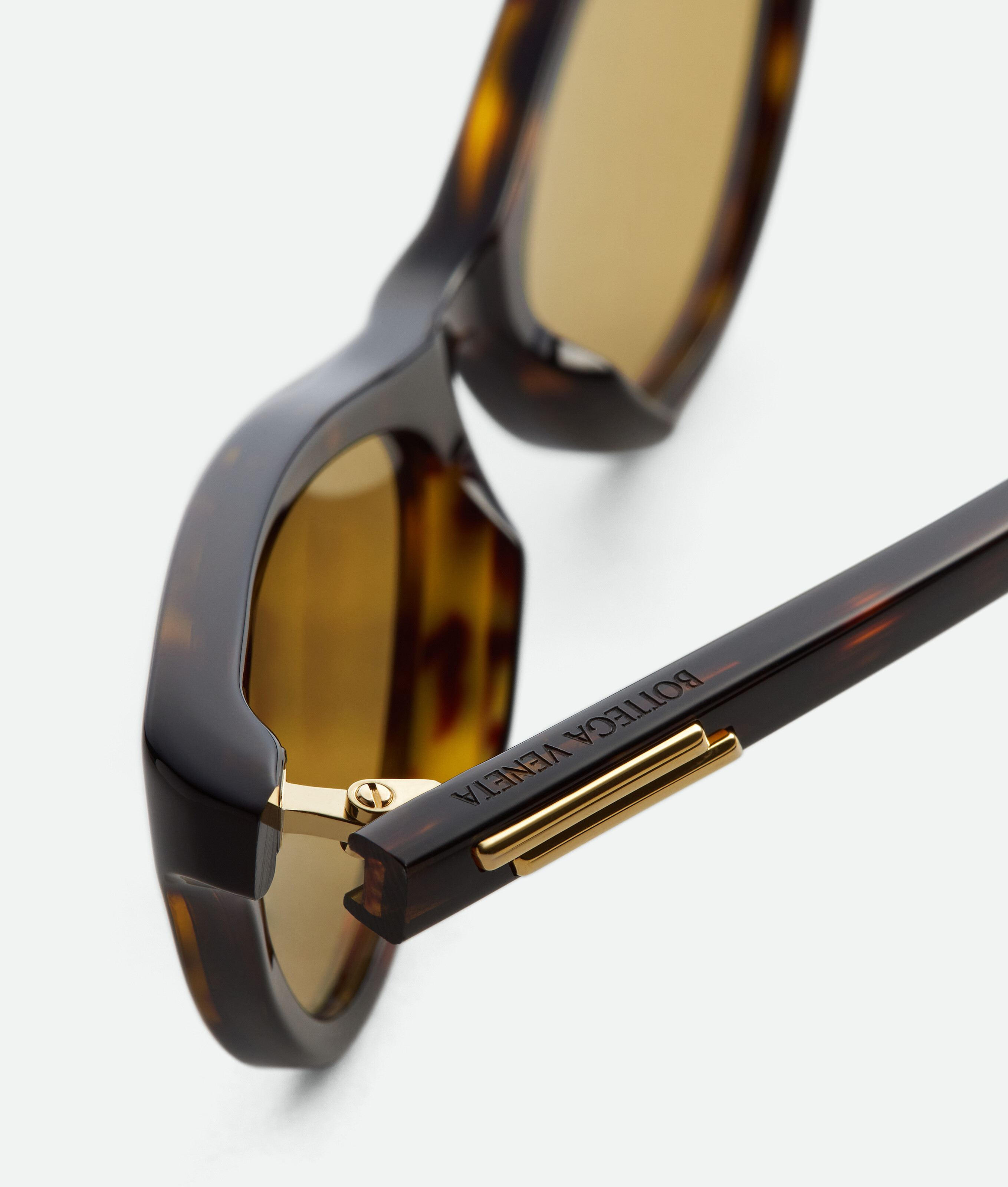 Bottega Veneta Classic Cat Eye Sunglasses In Brown