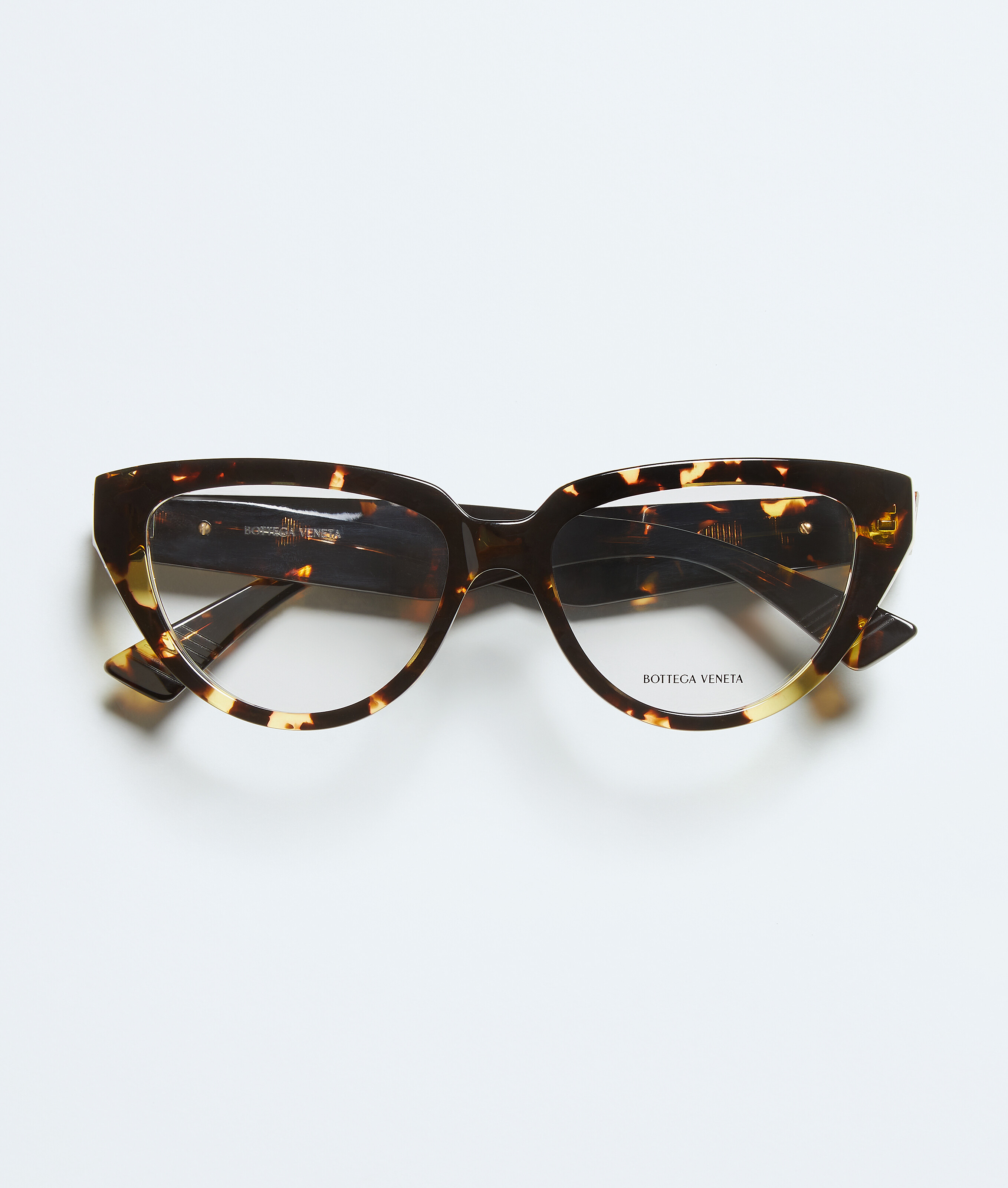 Classic Cat Eye Eyeglasses in Havana/transparent Bottega Veneta Zimbabwe EN - Image 1