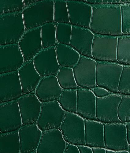 Sardine pour Femme en Emerald green Bottega Veneta Canada FR - Image 5