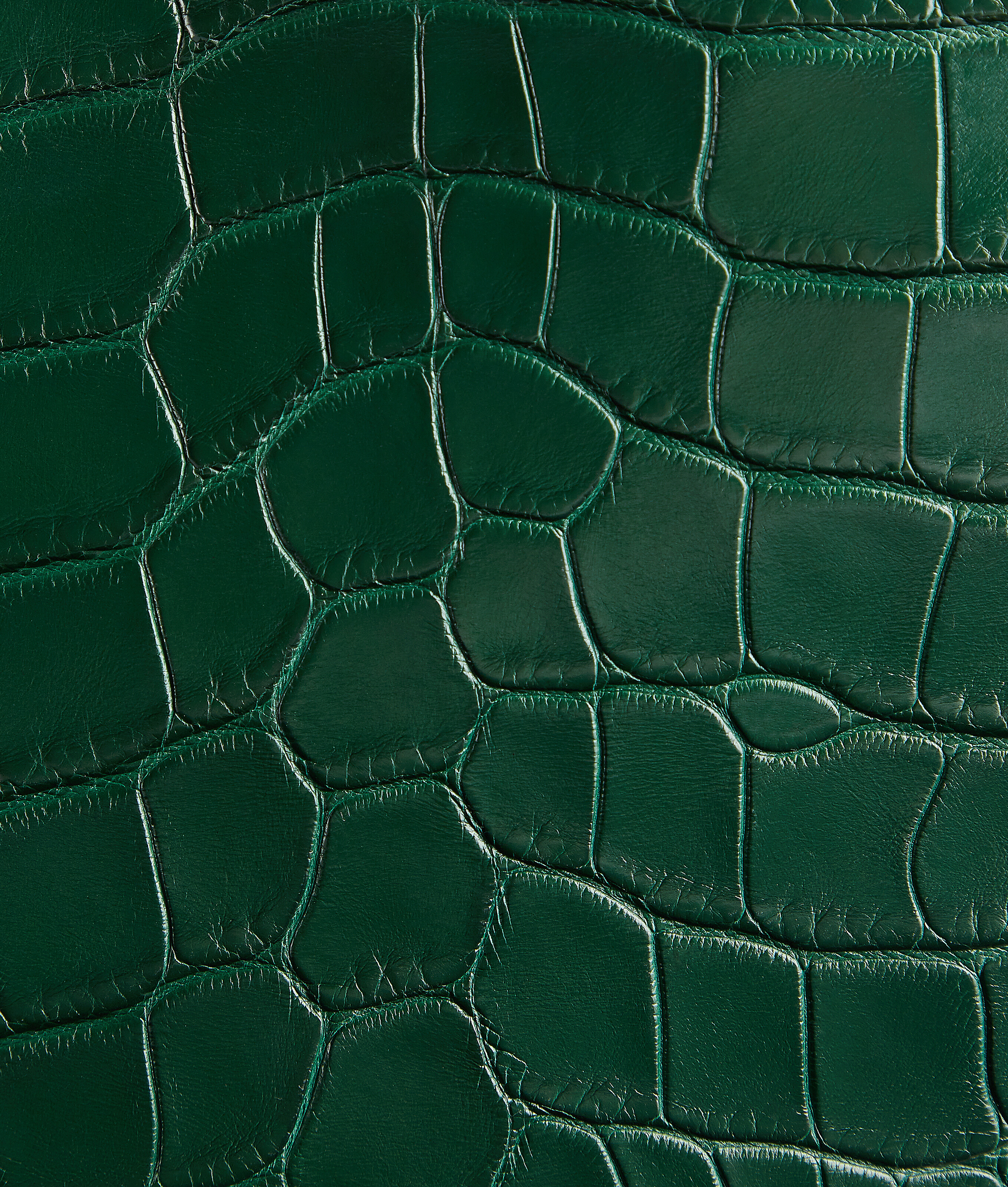 Women's Sardine in Emerald green Bottega Veneta Bulgaria EN - Image 5