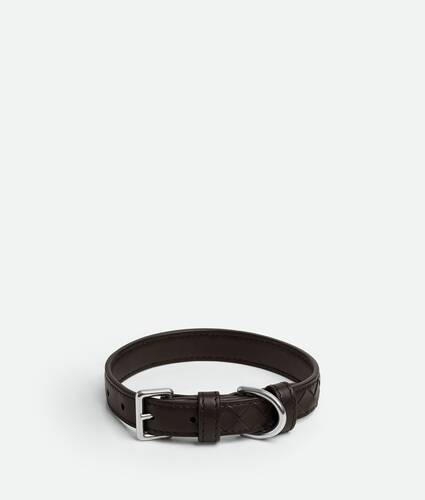 Small Intrecciato Dog Collar