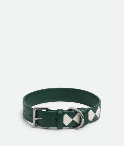 Medium Intrecciato Dog Collar
