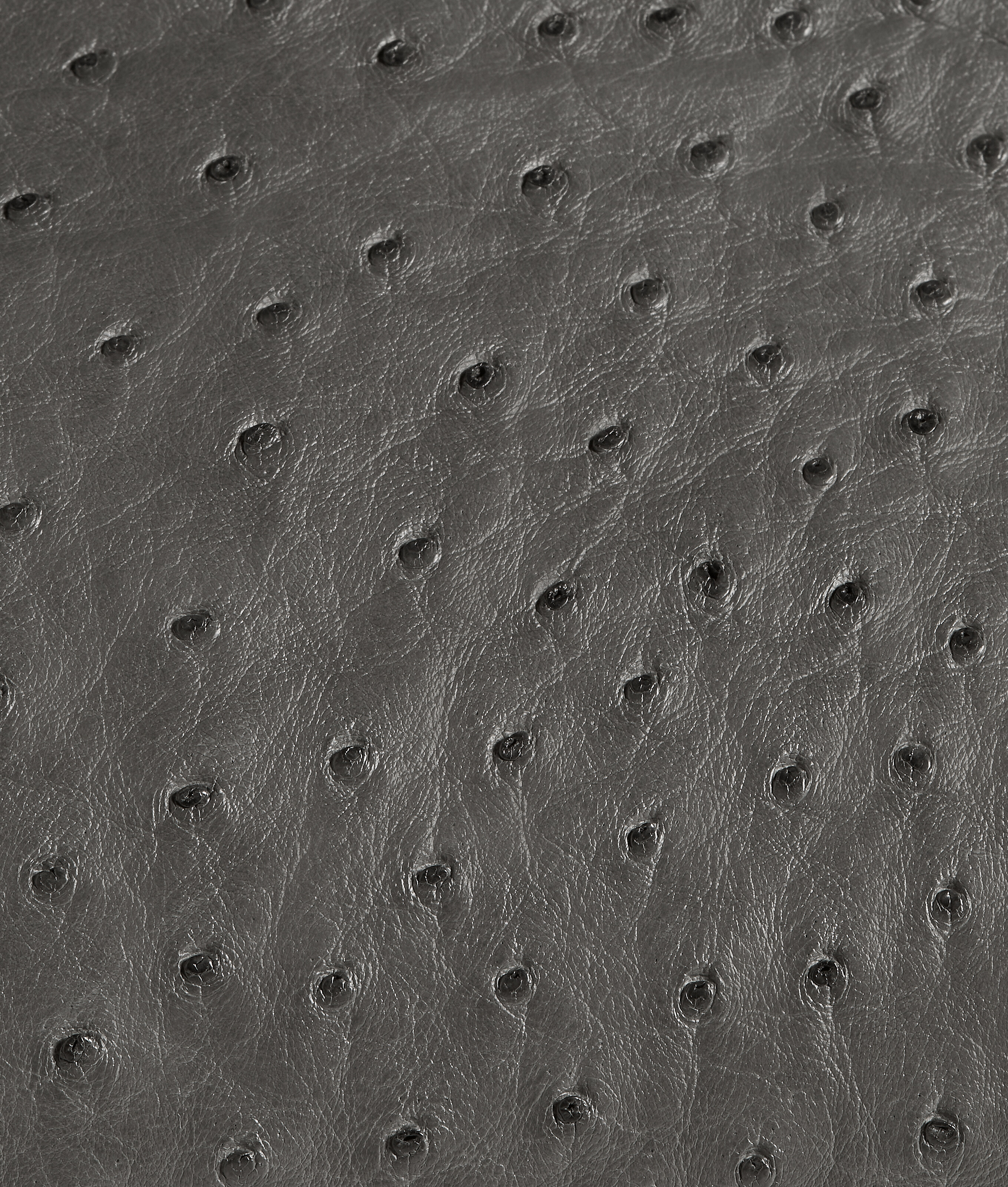 Women's The 1998 in Obsidian gray Bottega Veneta France EN - Image 8