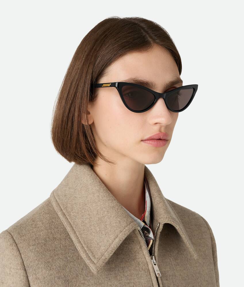 Display a large version of the product image 2 - Classic Cat Eye Sunglasses