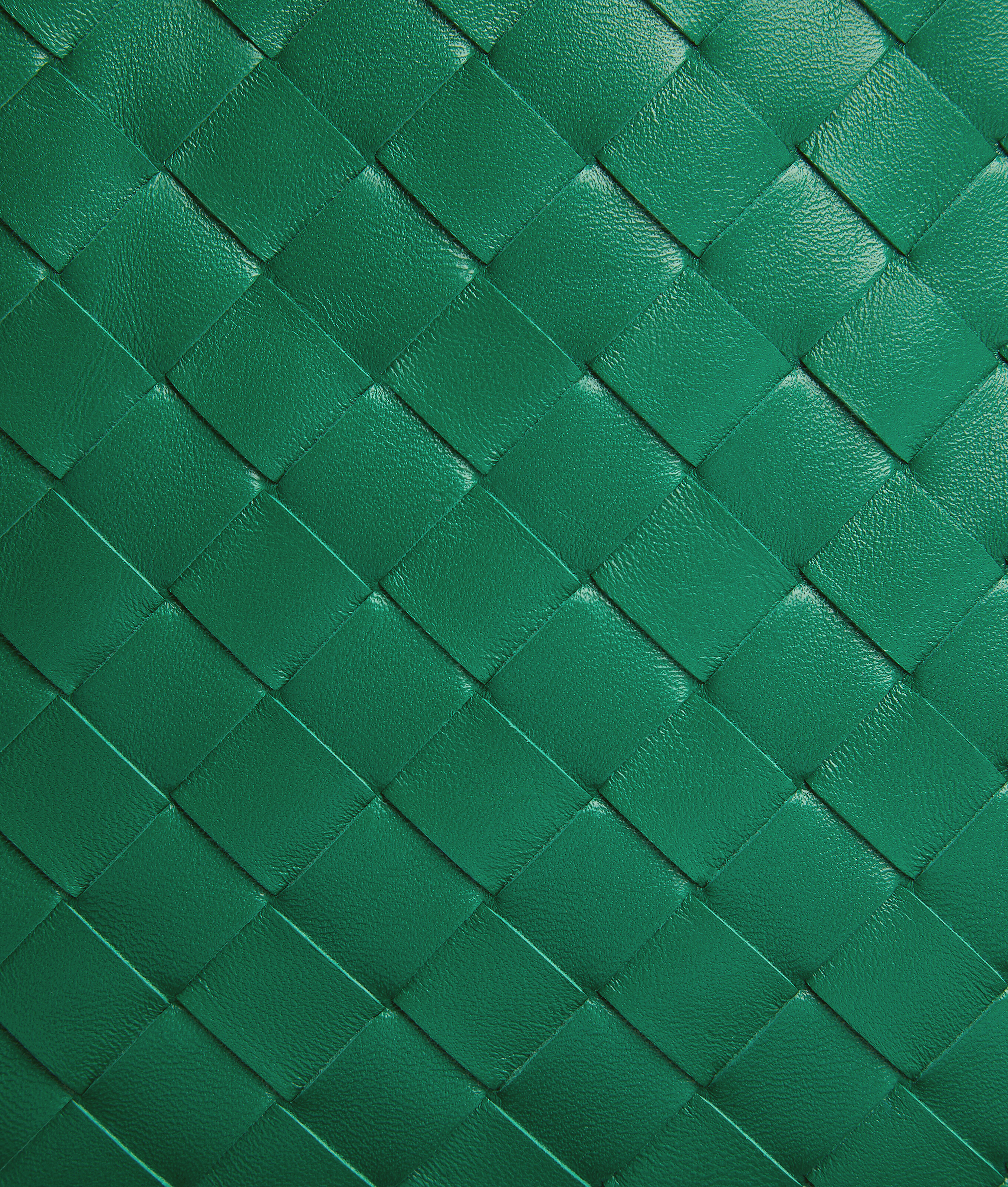 Women's Dustbag in Jungle Bottega Veneta Brazil EN - Image 7