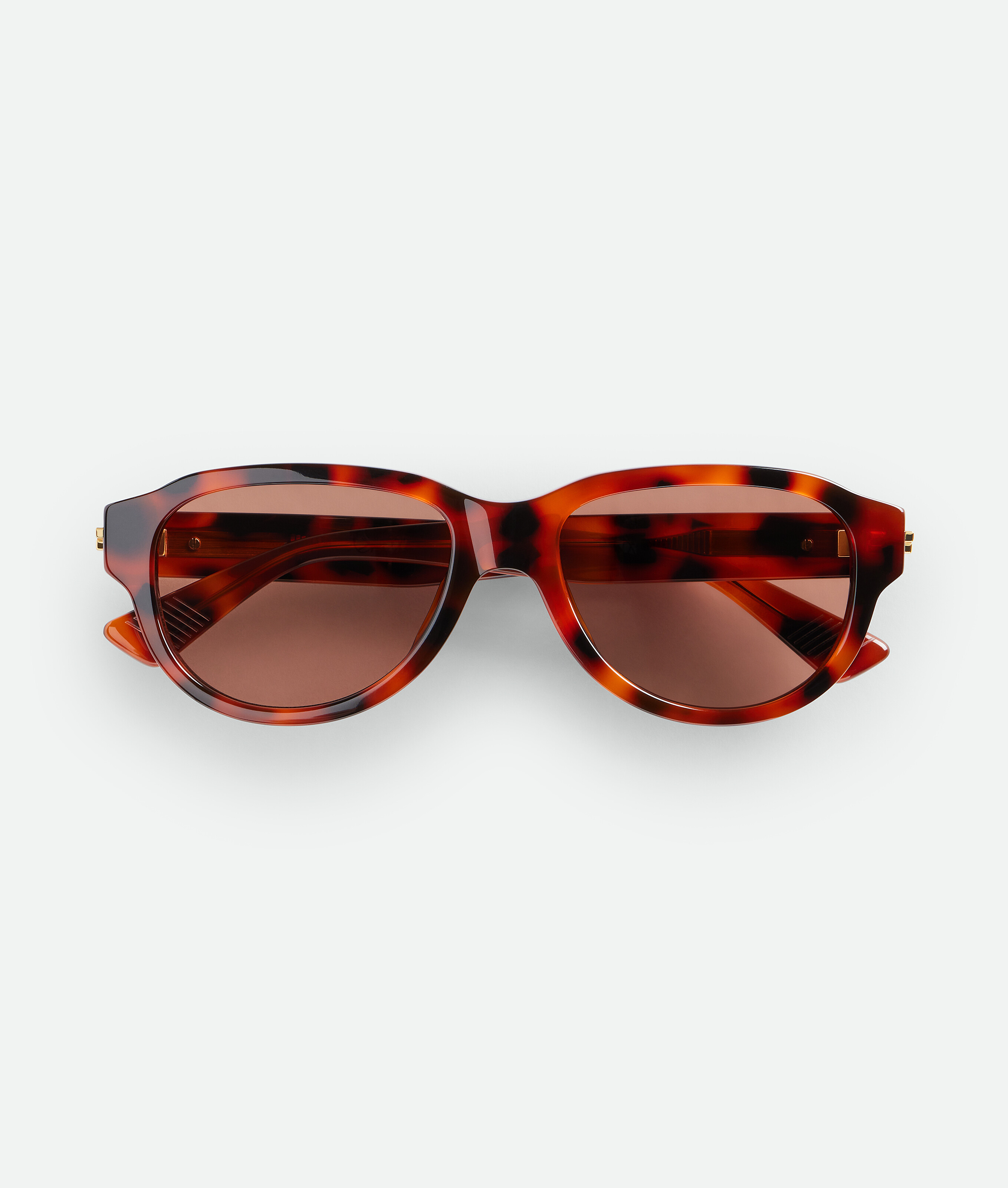 Classic Aviator Sunglasses in Havana/red