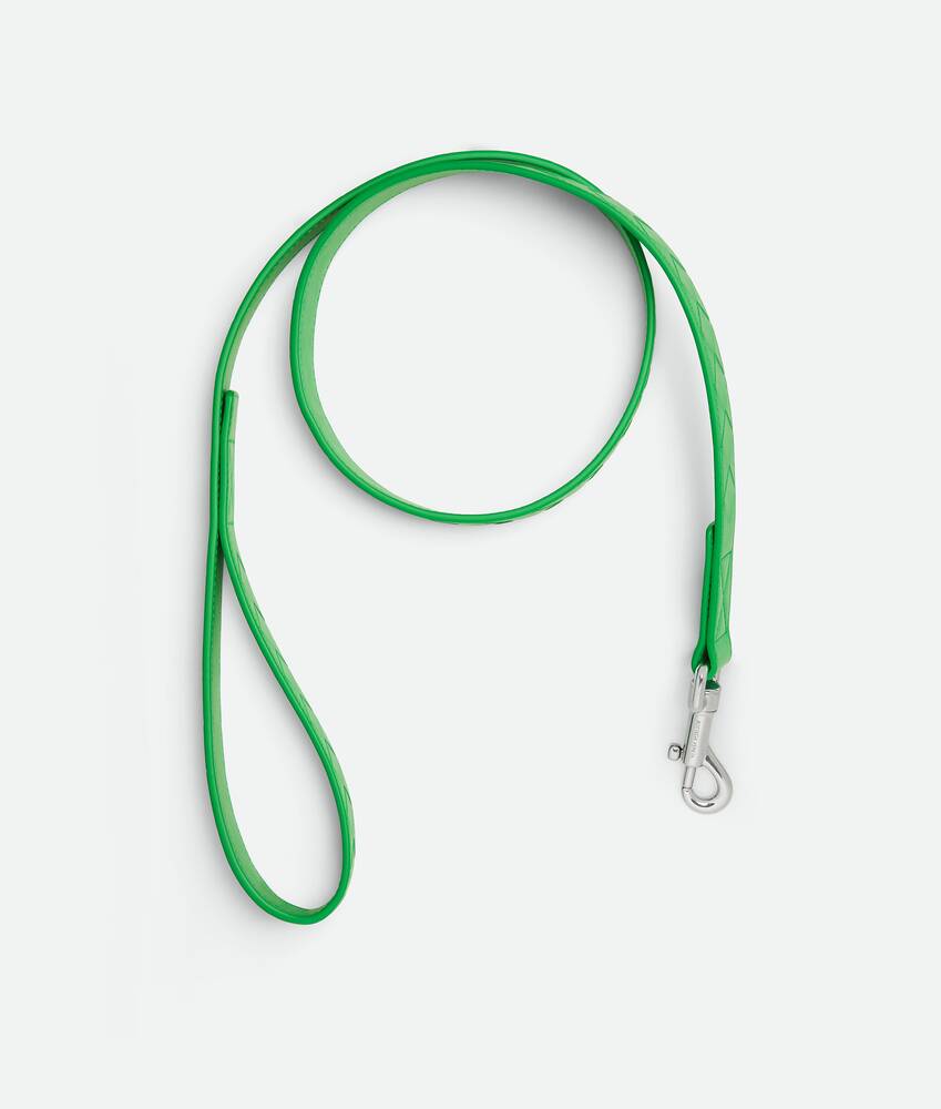 Display a large version of the product image 2 - Medium Intrecciato Dog Leash