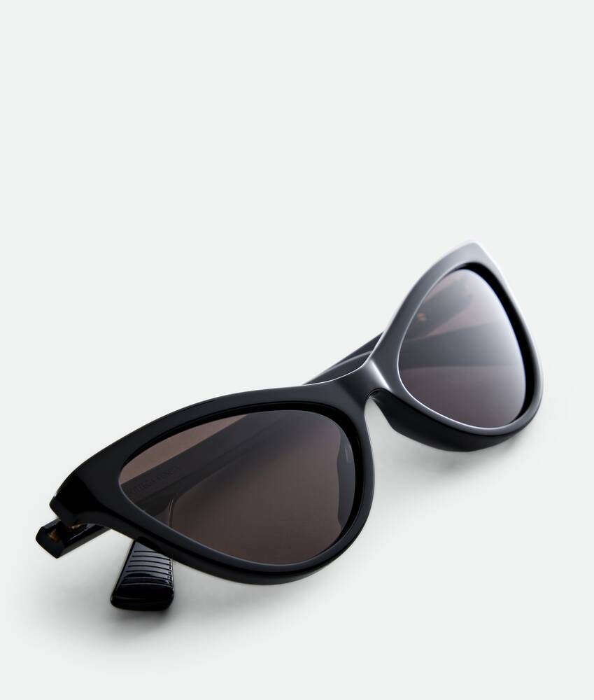 Display a large version of the product image 3 - Classic Cat Eye Sunglasses