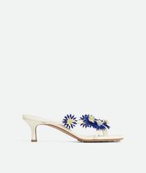 Sea salt/sherbert/white/blue royale/zenith