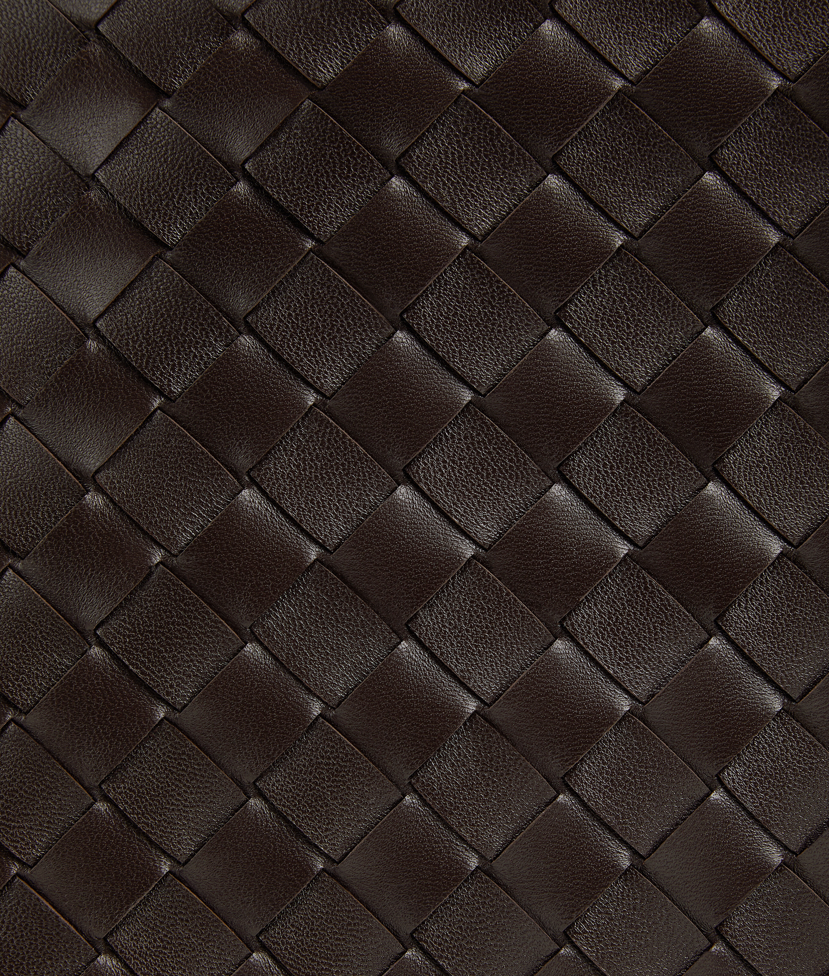 Women's Sardine in Fondant Bottega Veneta Lithuania EN - Image 7