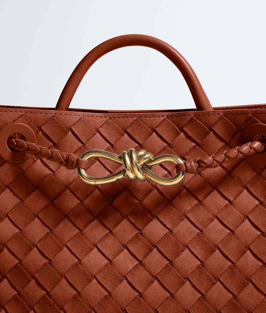 Women's Small Andiamo in Rust Bottega Veneta Singapore EN - Image 7
