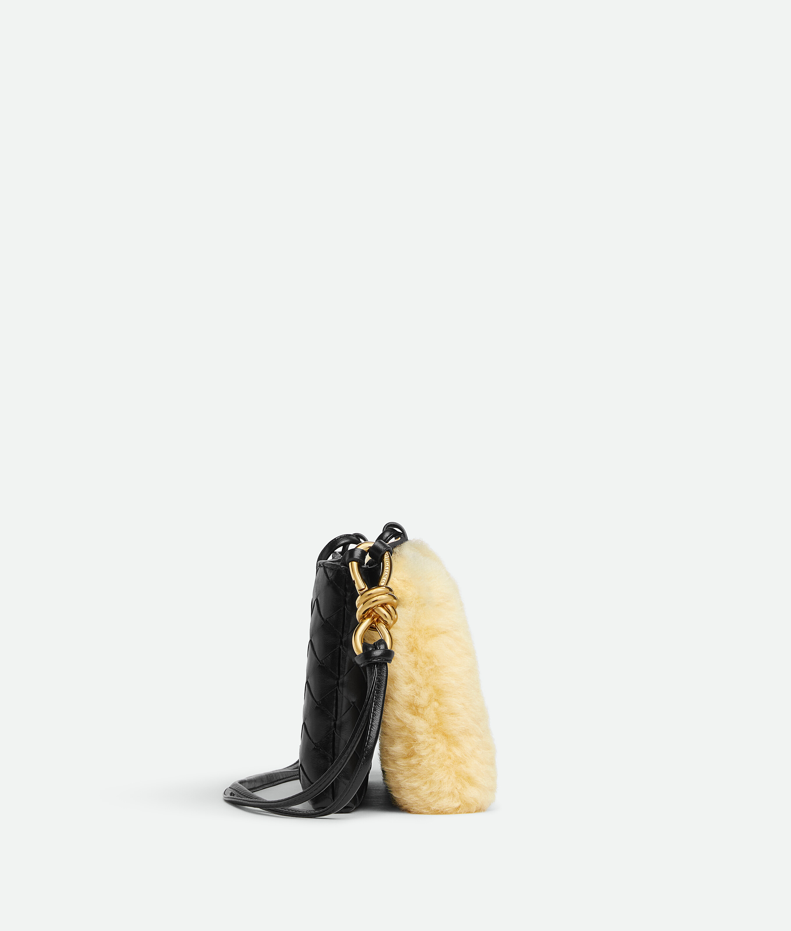 Bottega Veneta Andiamo Double Pouch