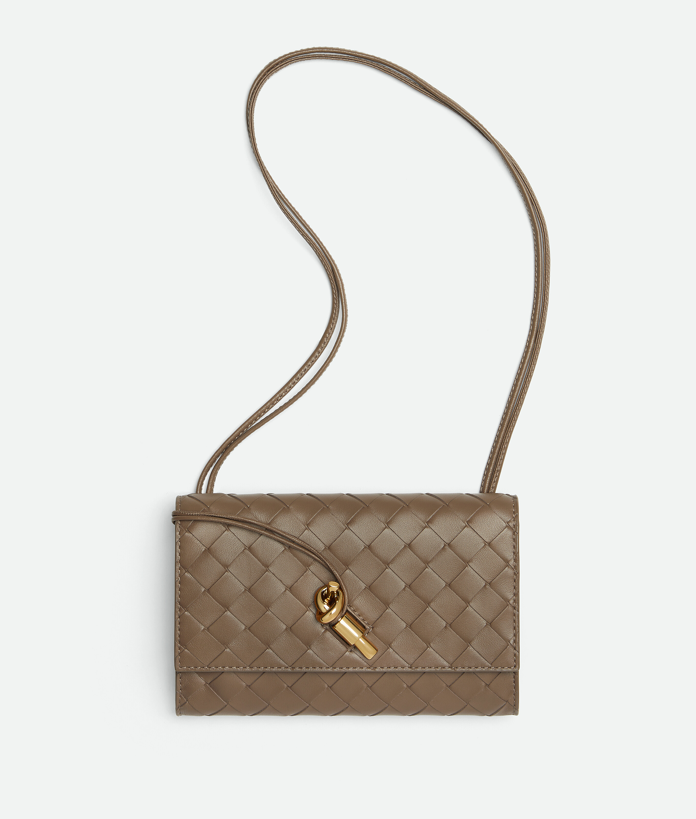 Bottega Veneta Andiamo Pouch On Strap In Brown