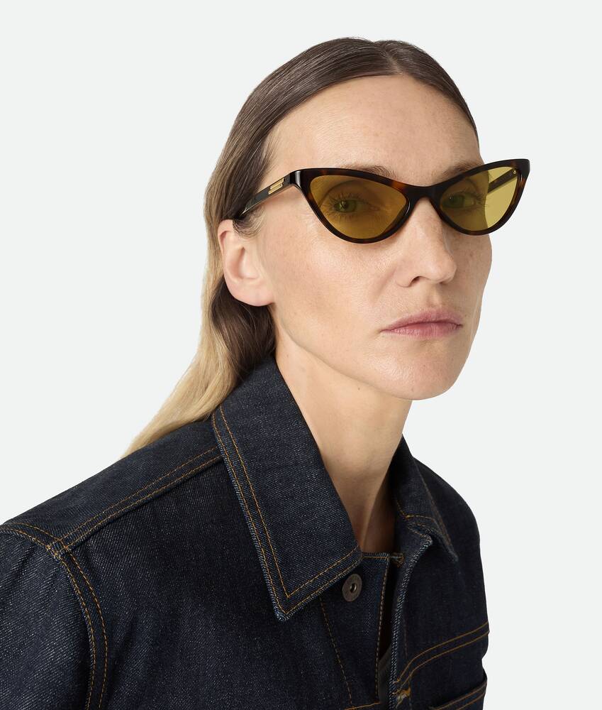 Display a large version of the product image 2 - Classic Cat Eye Sunglasses