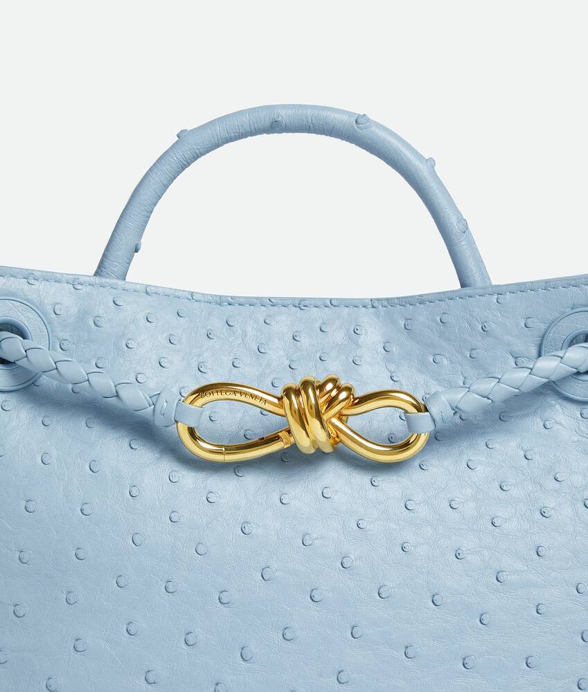 Women's Small Andiamo in Ice Bottega Veneta Brazil EN - Image 8