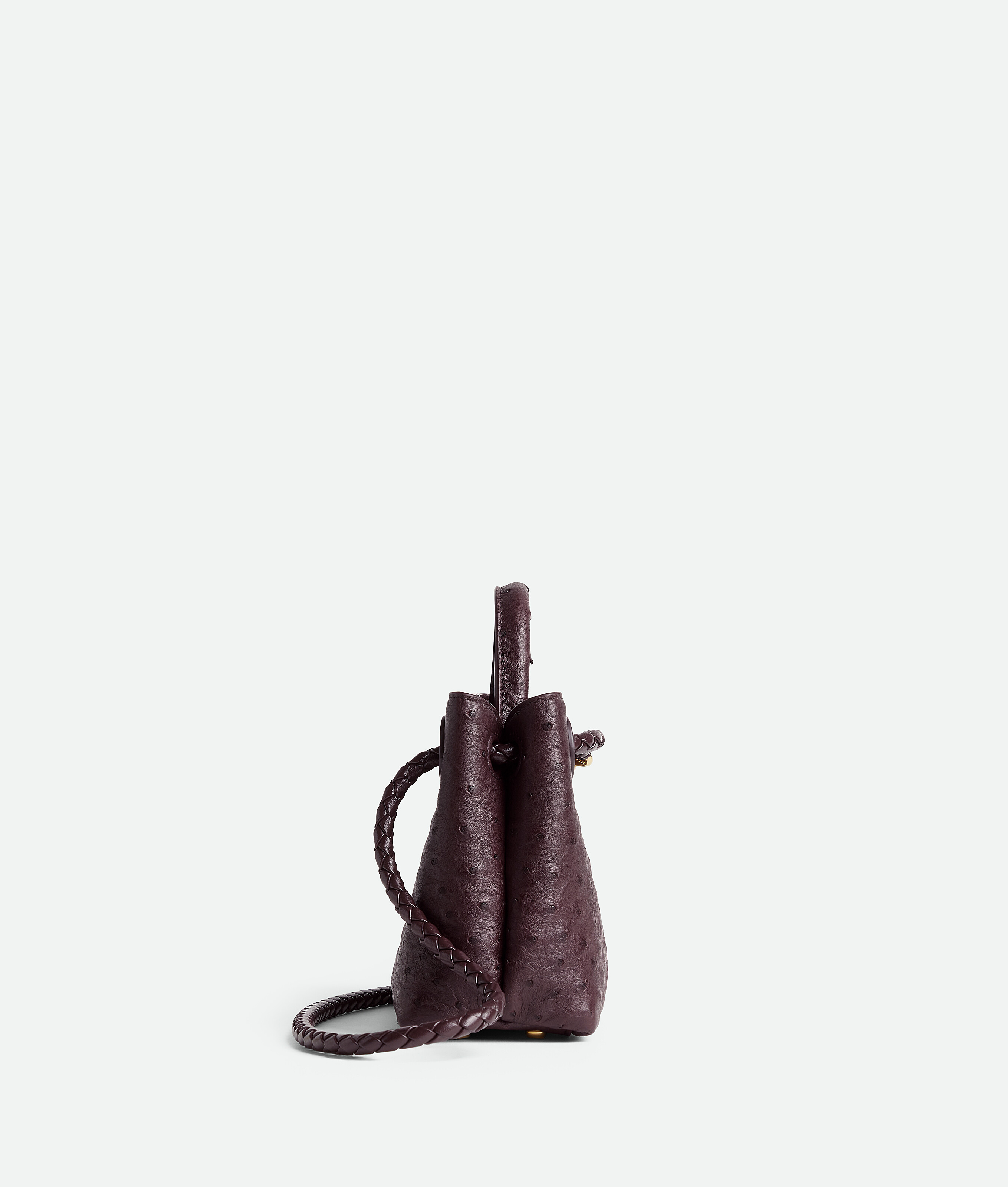 Bottega Veneta Andiamo Mini In Brown