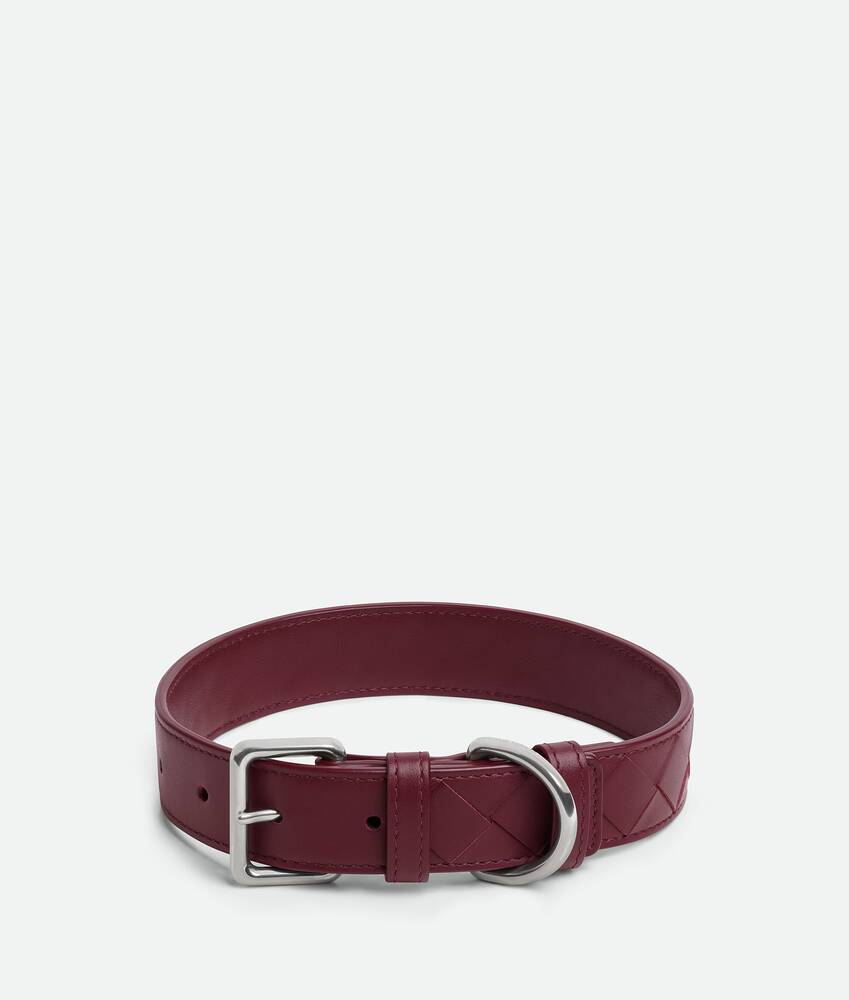 Display a large version of the product image 1 - Medium Intrecciato Dog Collar