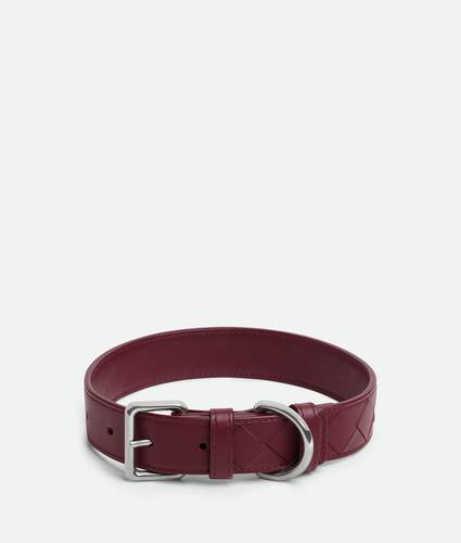 Medium Intrecciato Dog Collar