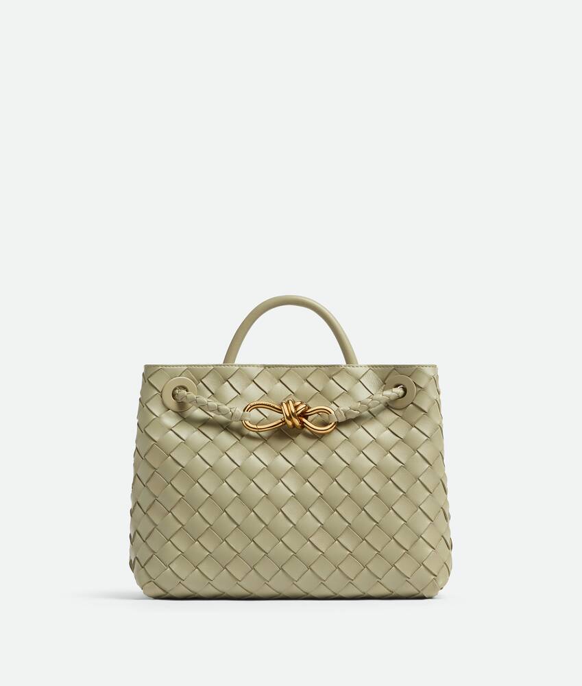 Bottega Veneta® Women's Small Andiamo in Shop online