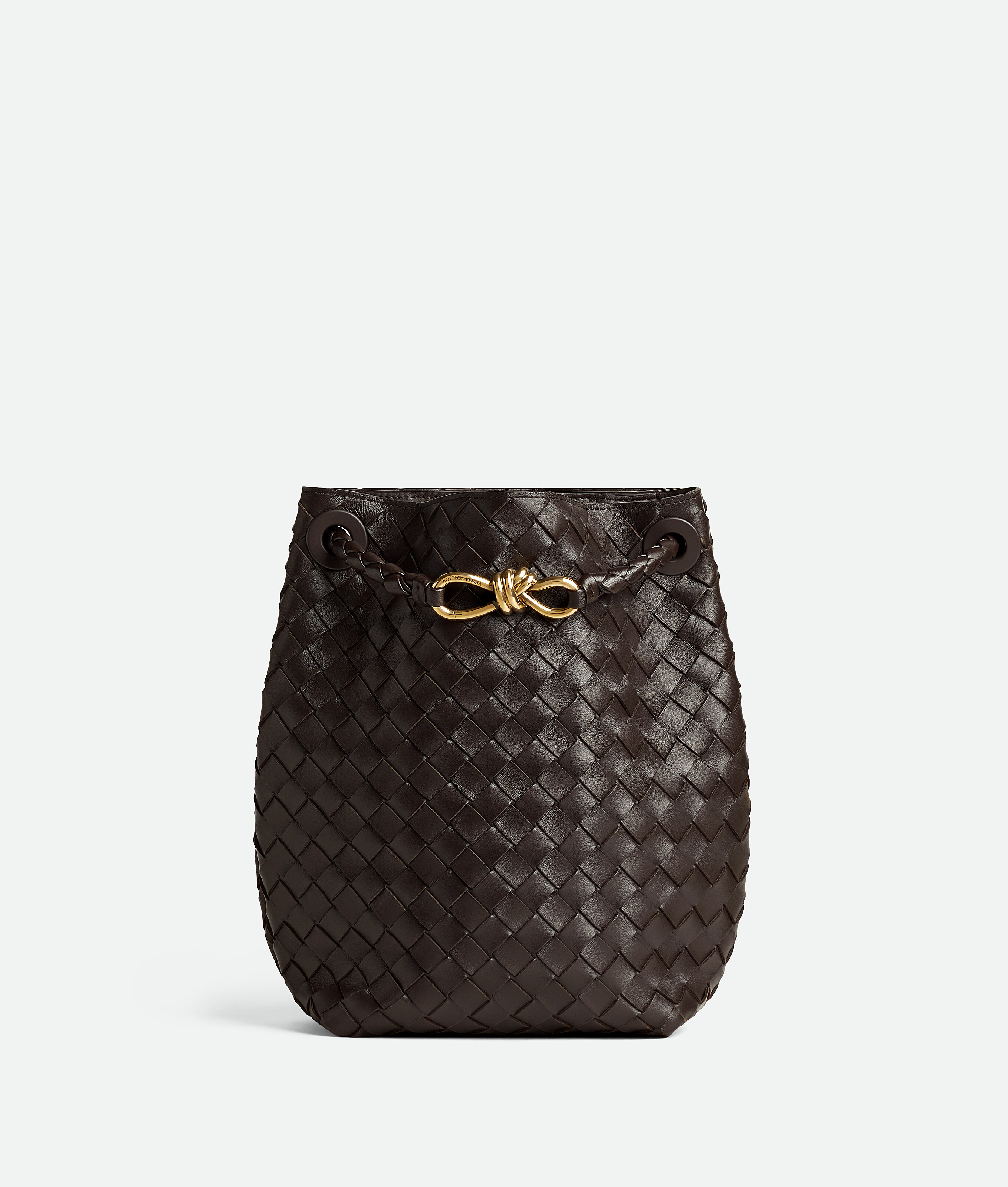 Bottega Veneta Andiamo Knot Small Leather Bucket Bag In Brown