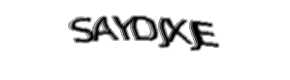Security check image, please type the characters shown