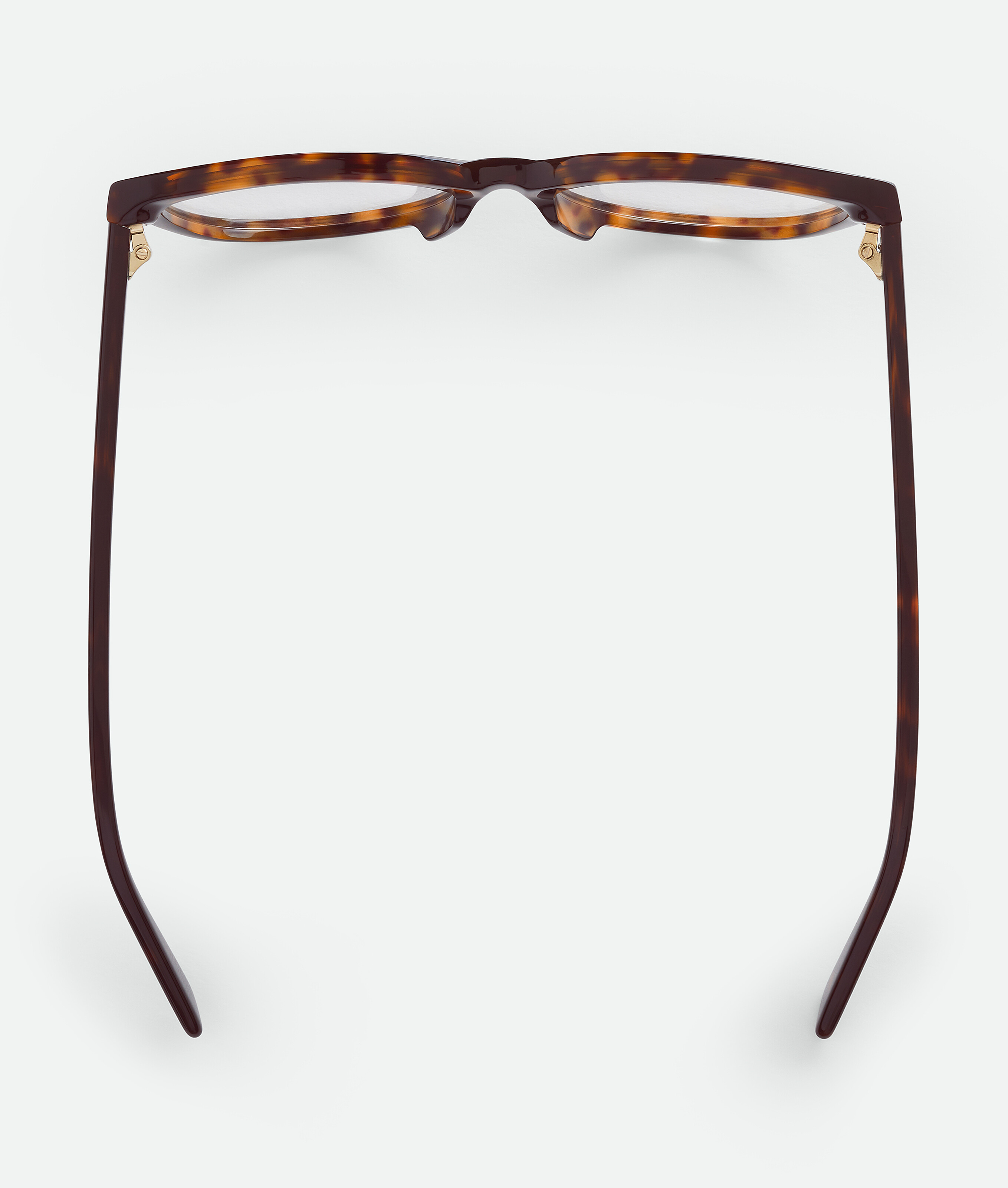 Bottega Veneta Classic Brille In Cat-eye-form In Havana/transparent