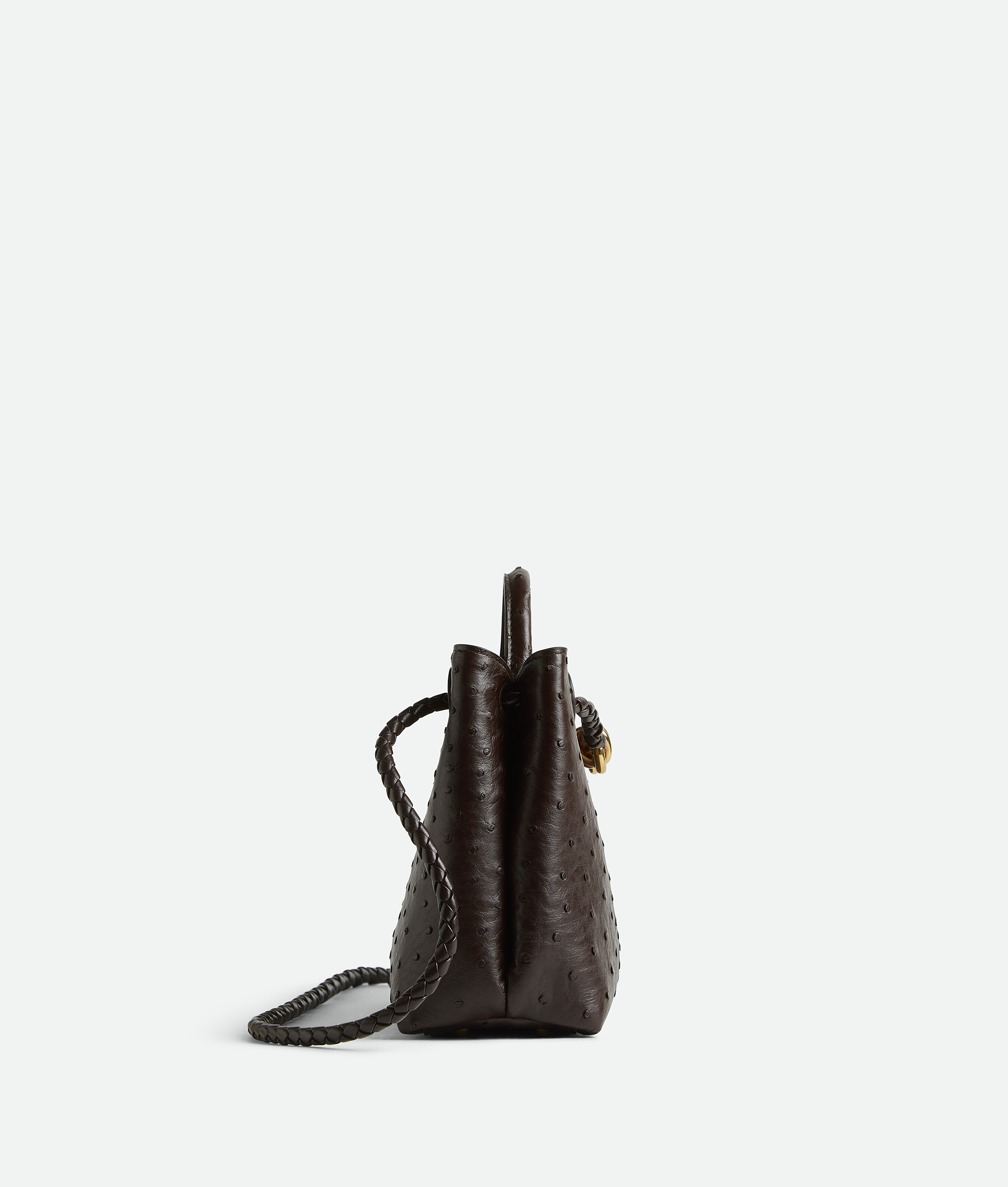 Shop Bottega Veneta Small Andiamo In Fondant