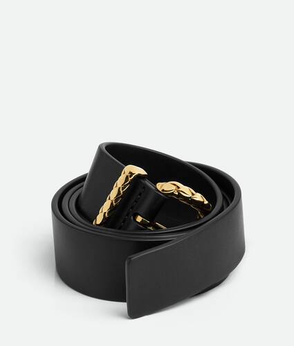 Coaxial Loop Belt