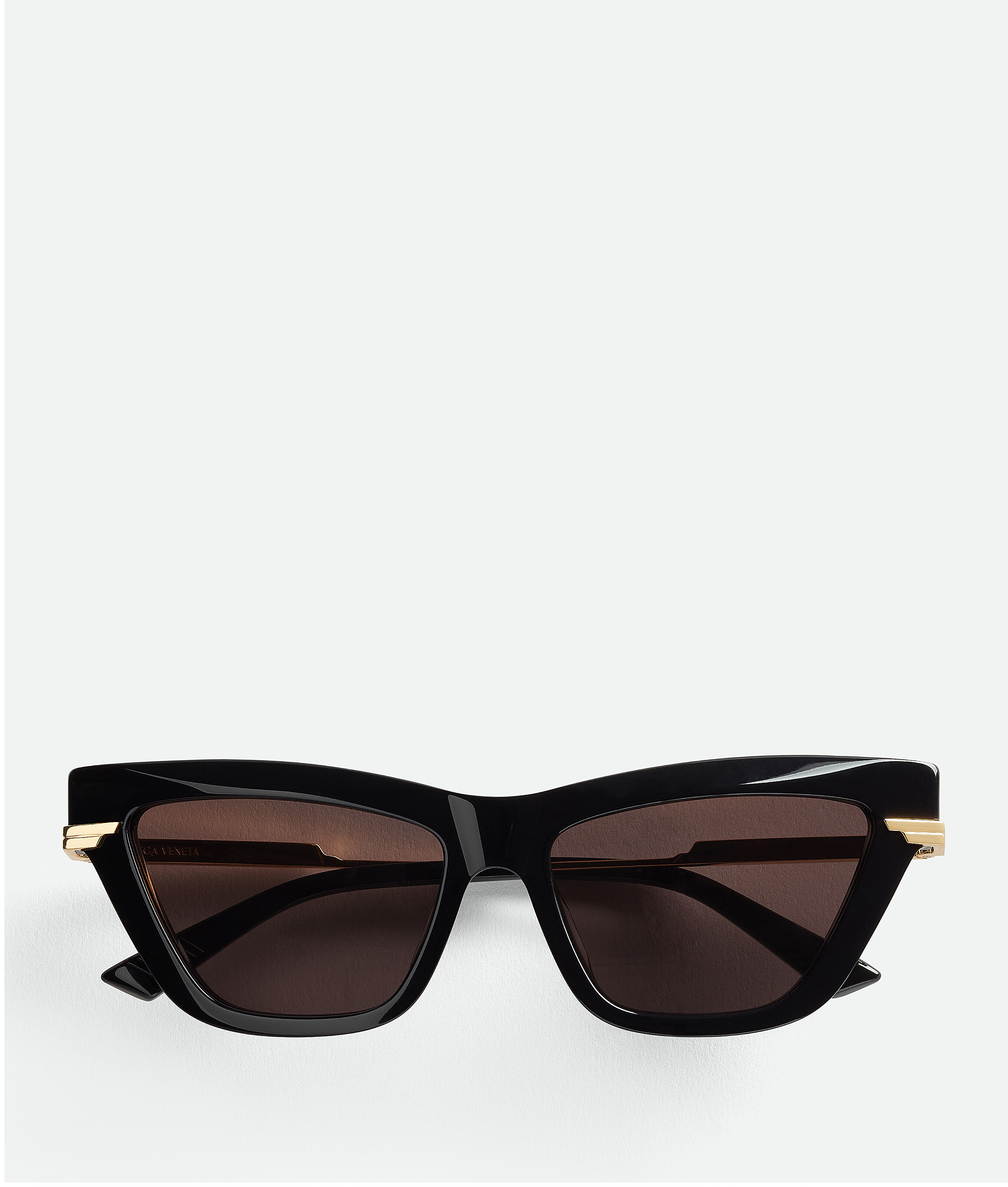 Bottega Veneta Classic Acetate Cat Eye Sunglasses In Black