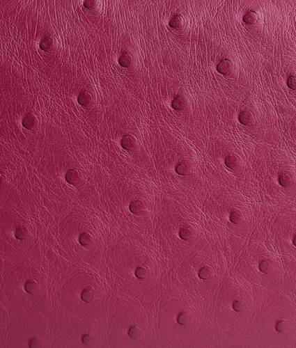 Andiamo Clutch