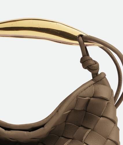 The Bottega Veneta Sardine Handbag