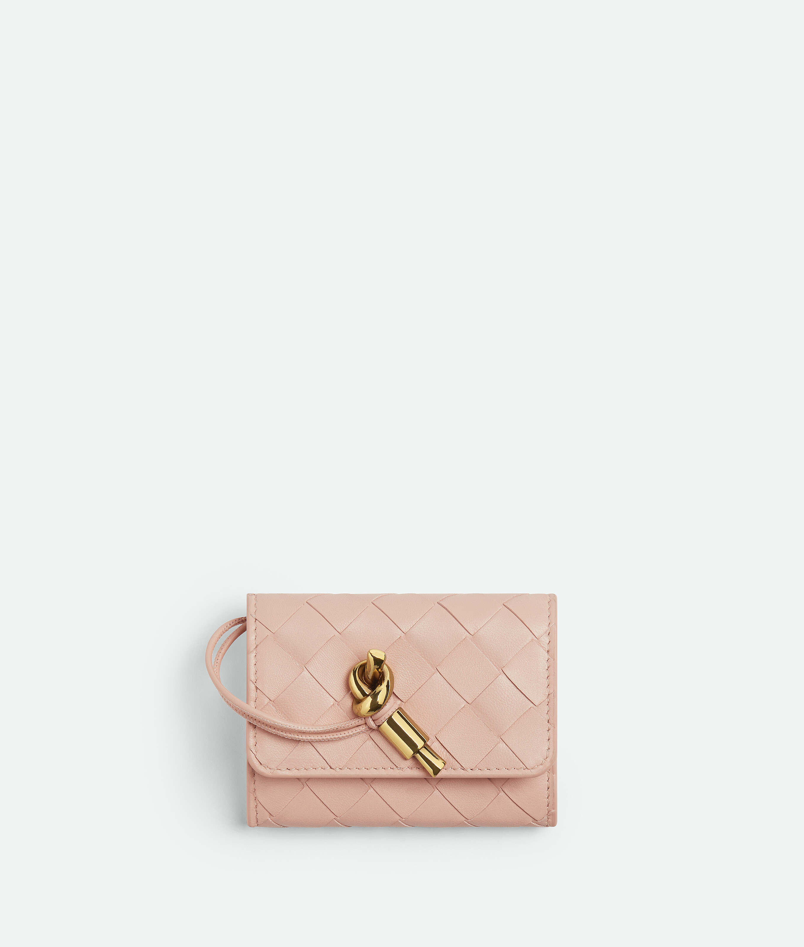Bottega Veneta Andiamo Envelope Card Case In Pink