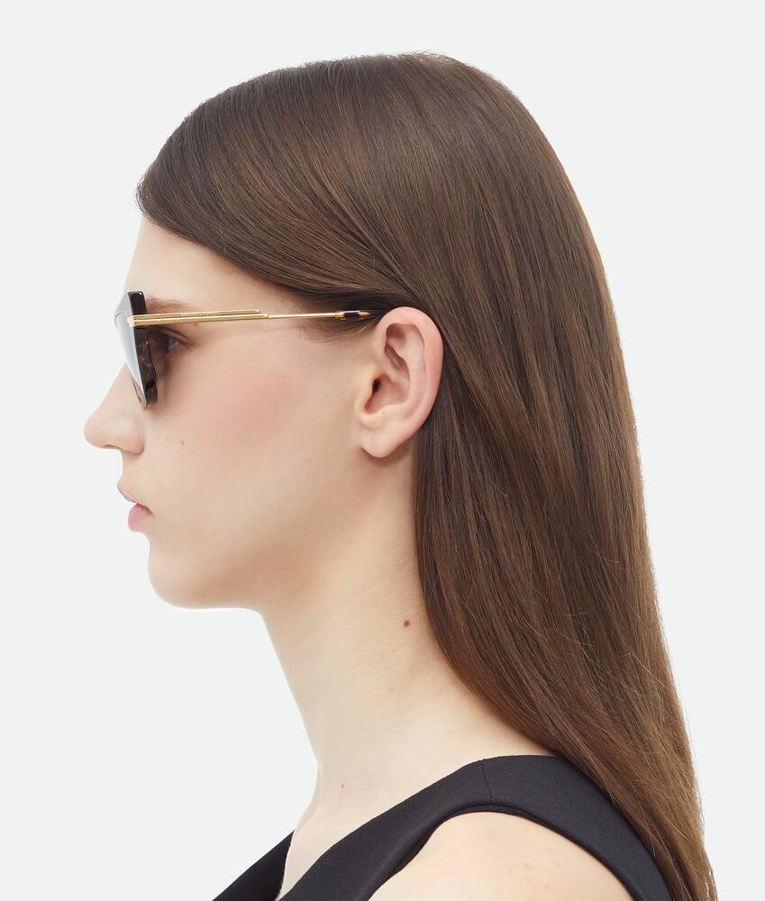 Display a large version of the product image 5 - Classic Acetate Cat Eye Sunglasses
