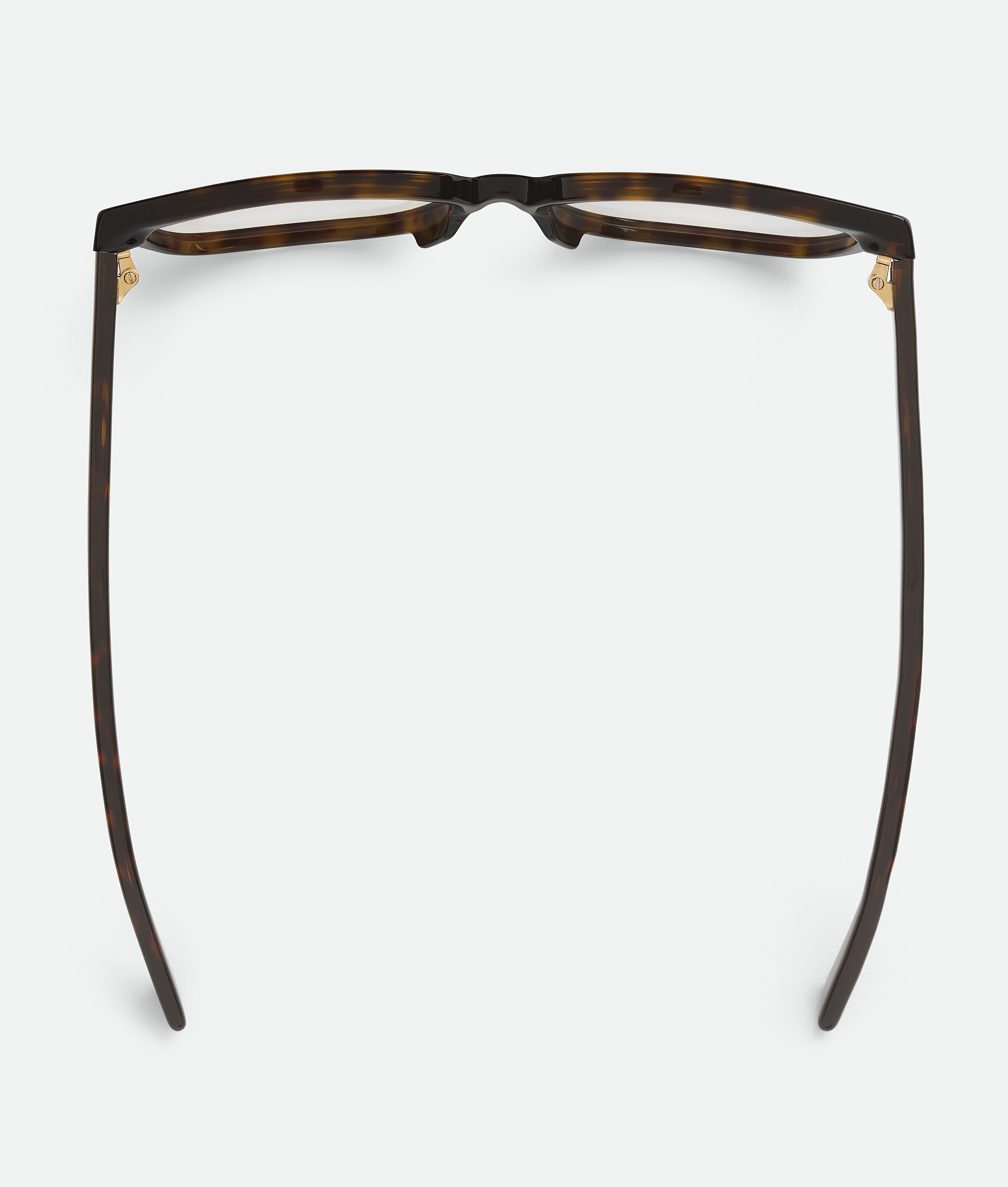 Bottega Veneta Classic Square Eyeglasses In Brown