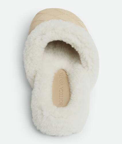 Reggie Slipper