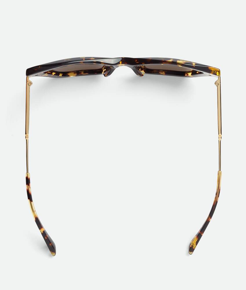 Display a large version of the product image 4 - Classic Acetate Cat Eye Sunglasses