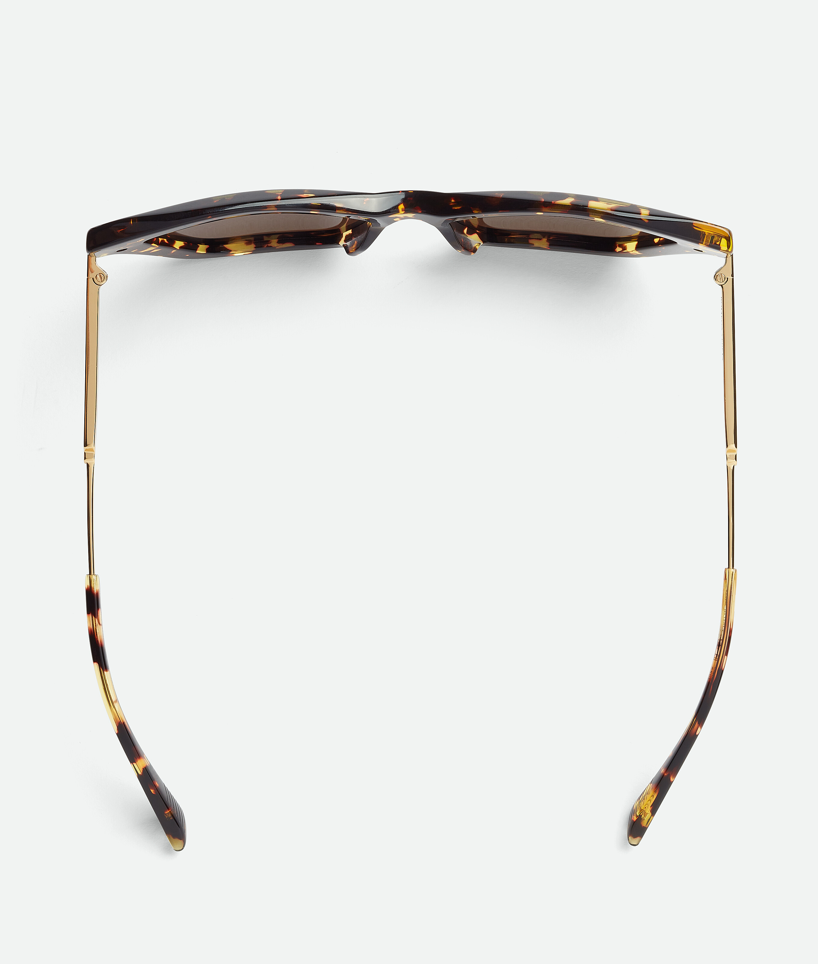 Shop Bottega Veneta Classic Acetate Cat Eye Sunglasses In Brown