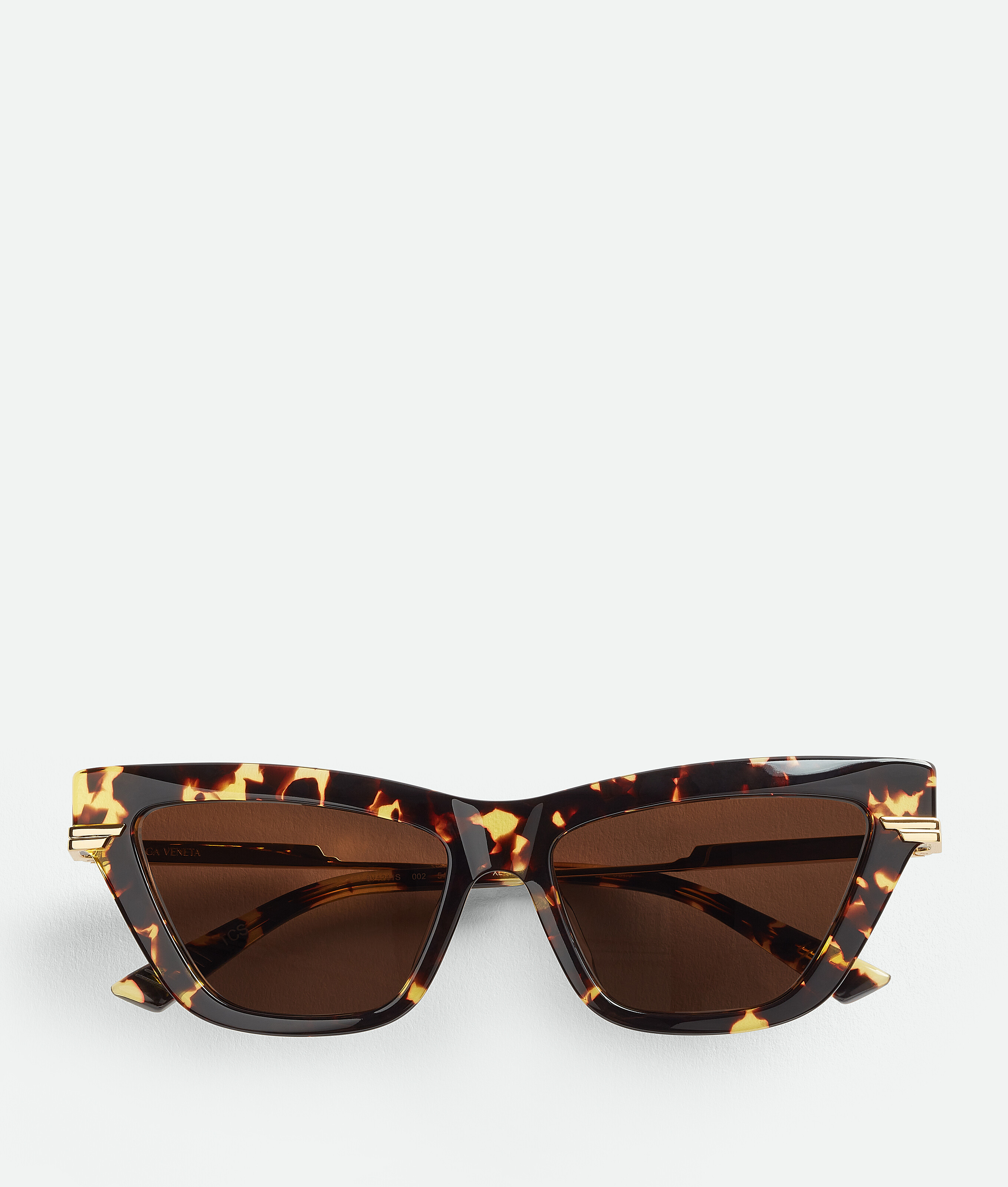 Bottega Veneta Classic Acetate Cat Eye Sunglasses In Brown