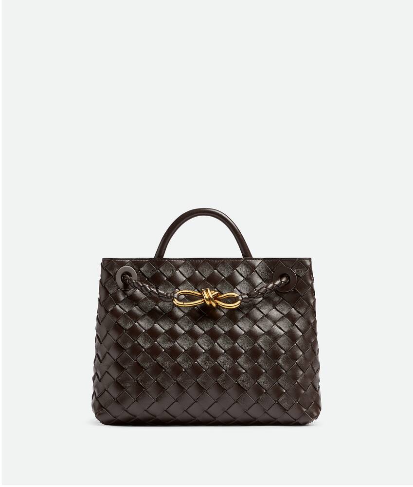 Bottega Veneta® Women's Small Andiamo in Fondant. Shop online now.