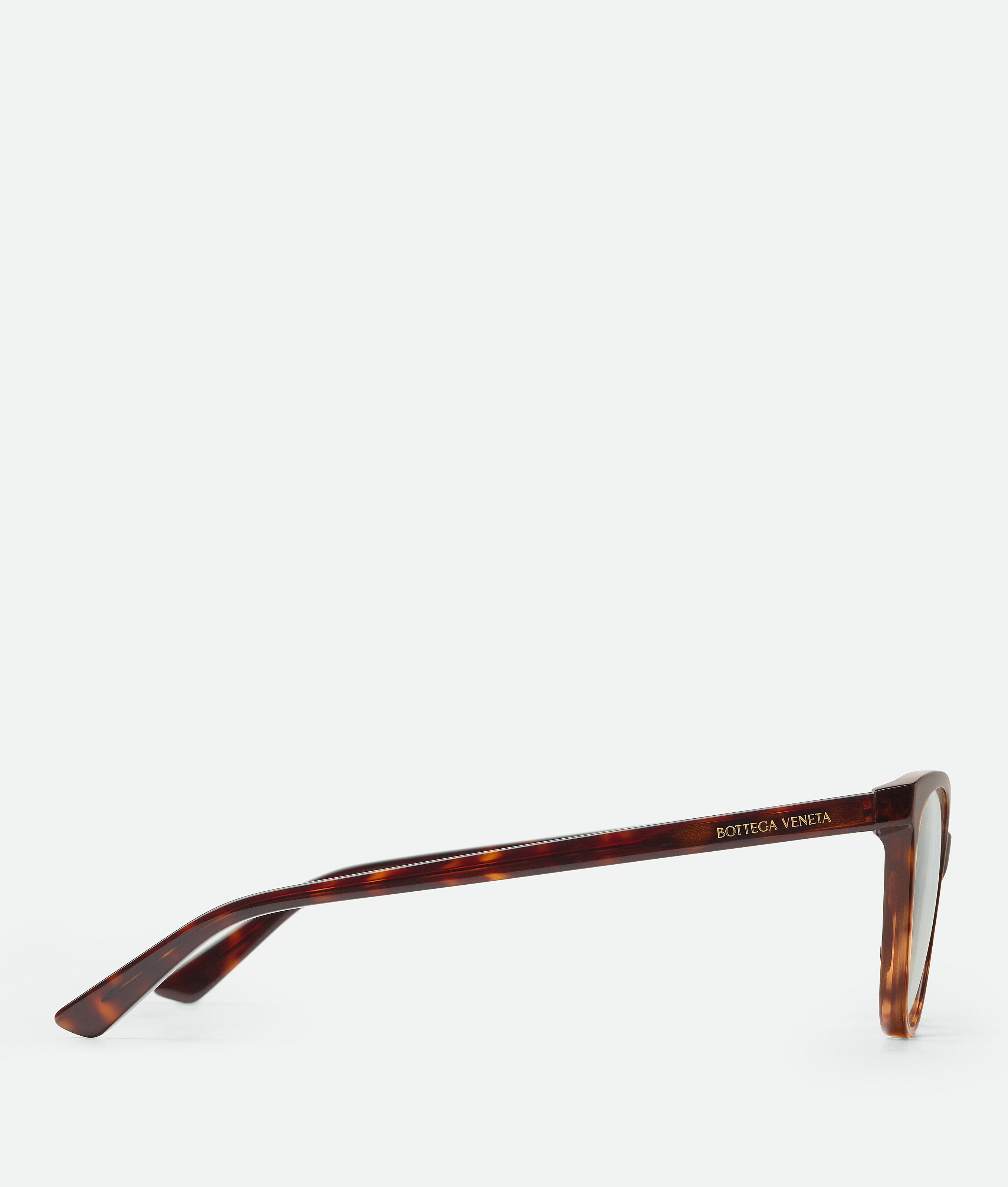 Bottega Veneta Classic Brille In Cat-eye-form In Havana/transparent