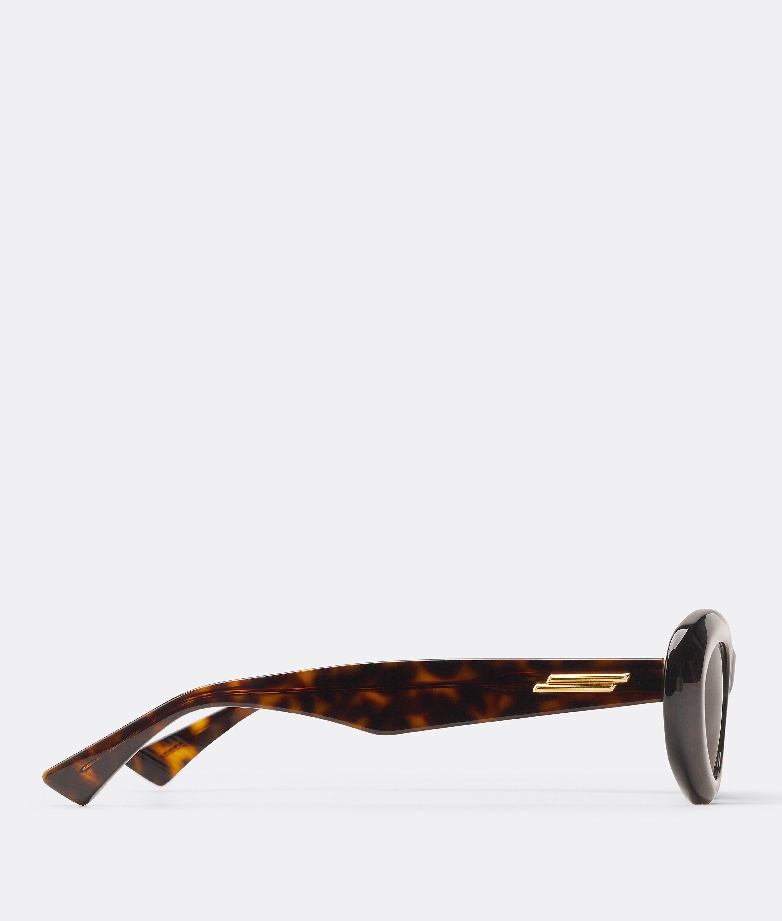 Shop Bottega Veneta Bombe Round Sunglasses In Brown