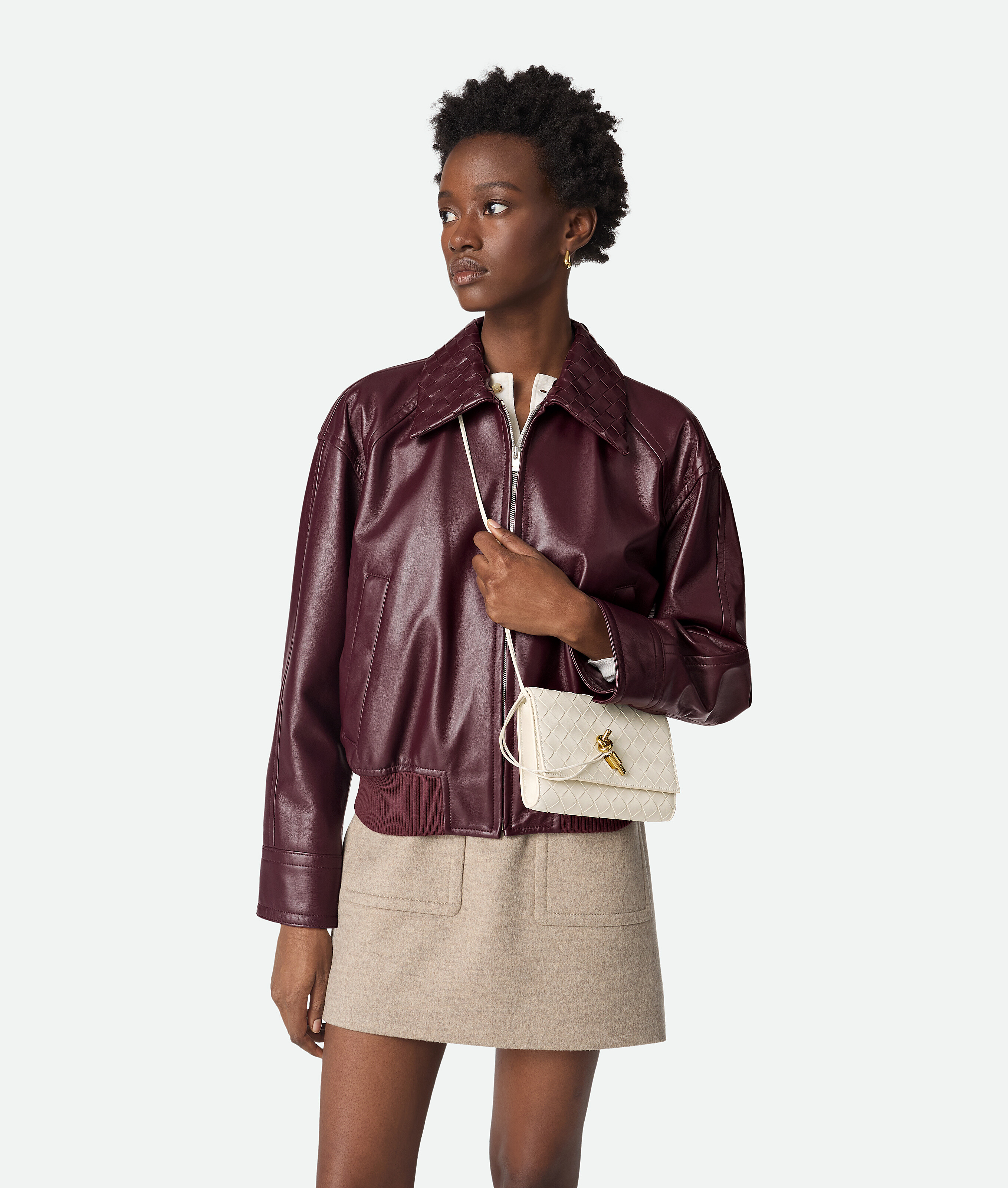 Bottega Veneta Andiamo Pouch